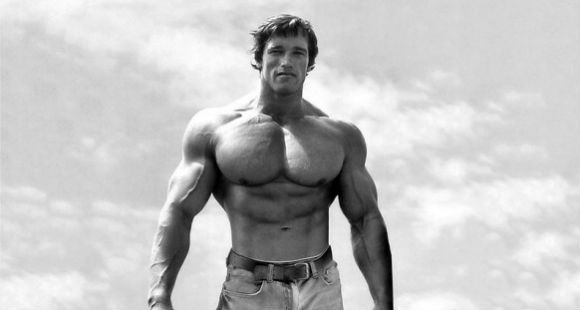 arnold-schwarzenegger-chest-workout-4_1920x1920.jpg